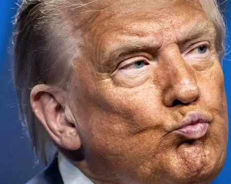 Trump vs Reality Review: No Other Network Would Attempt TV So Daring (and) Repetitive